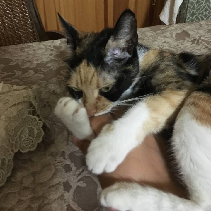 71df55ee 66df 4a80 b478 919fad50ccf9