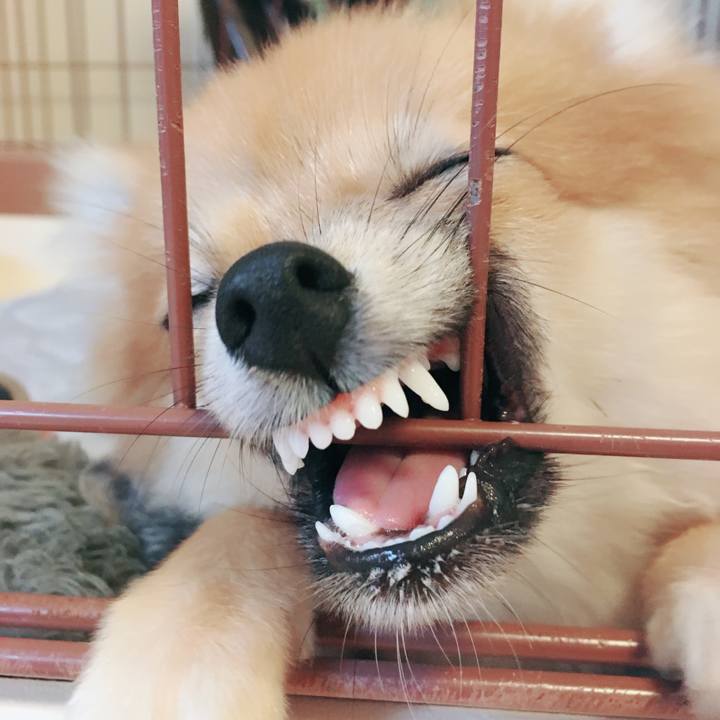 71df5818 45a9 4eac 9d6e 5990a84a568a