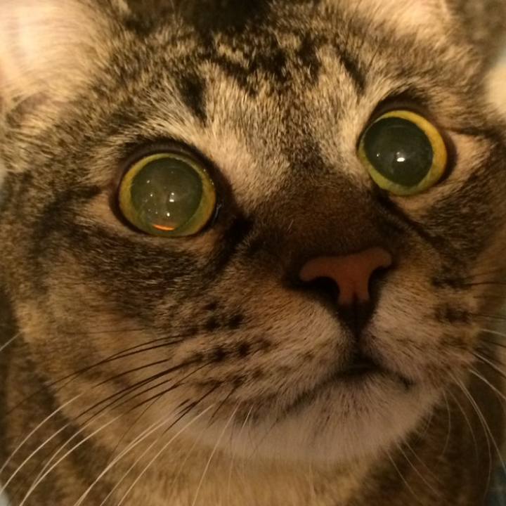 71df6008 2318 4075 980d bad3ace9013a