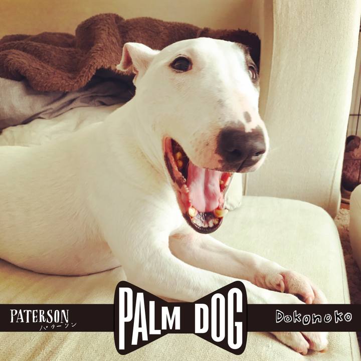 71e0d6a3 ef85 4a33 a9ae 8e2c054943d9