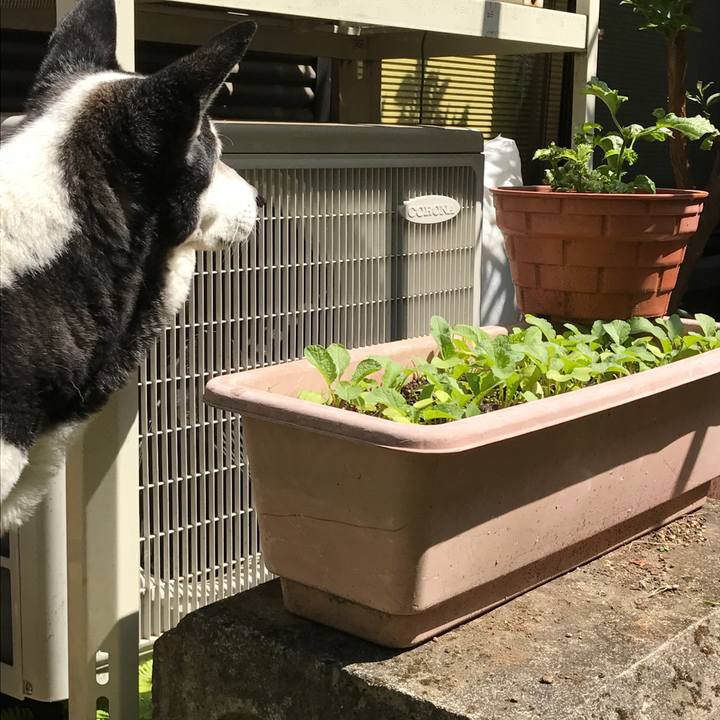 71e12005 0531 46e6 9037 f7752aa77394