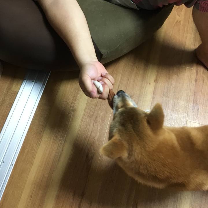 71e15c77 a771 494b ba89 7e044233b78e