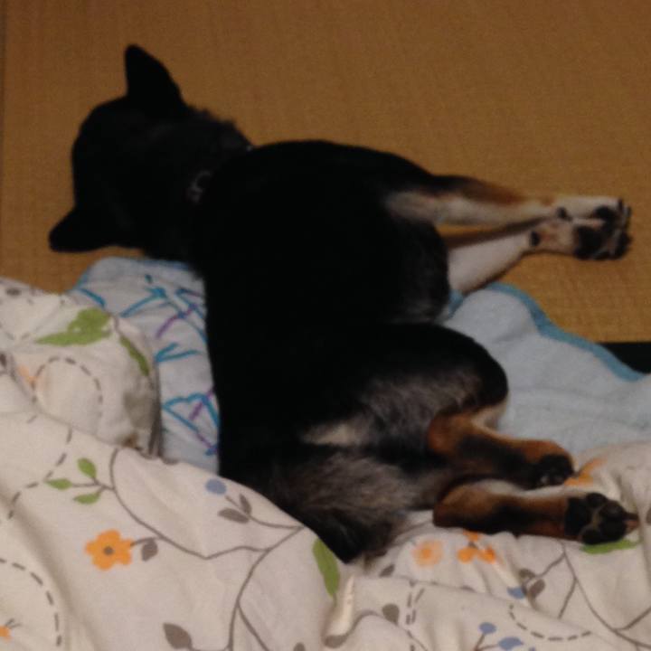 71e1622c 4af0 47f0 b871 7d17c533d448