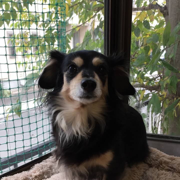 71e1f5d0 c17f 4d9a 9e35 ea9c528f4922