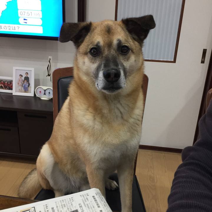 71e258ac 7a38 465f b079 bb44c902fbda