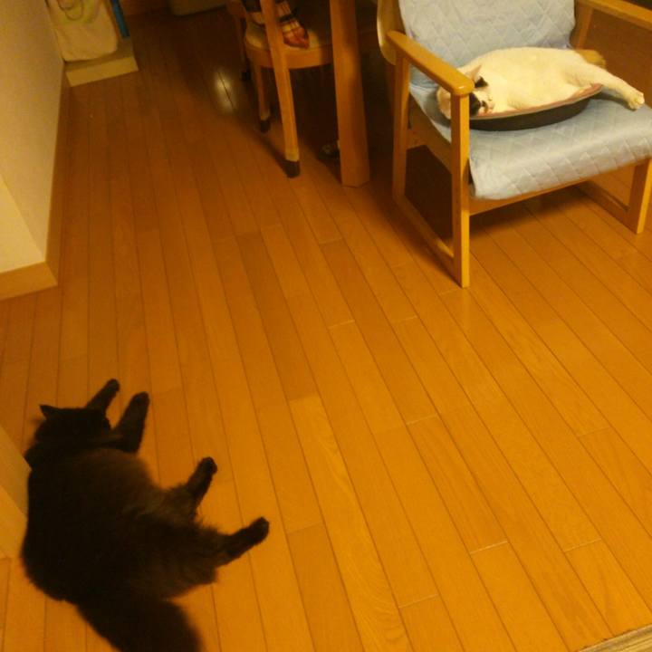 71e284c2 570b 4c82 a591 adb4f3af48ed