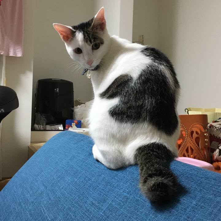 71e2b027 78f4 42bb b0ee 005d322a7915