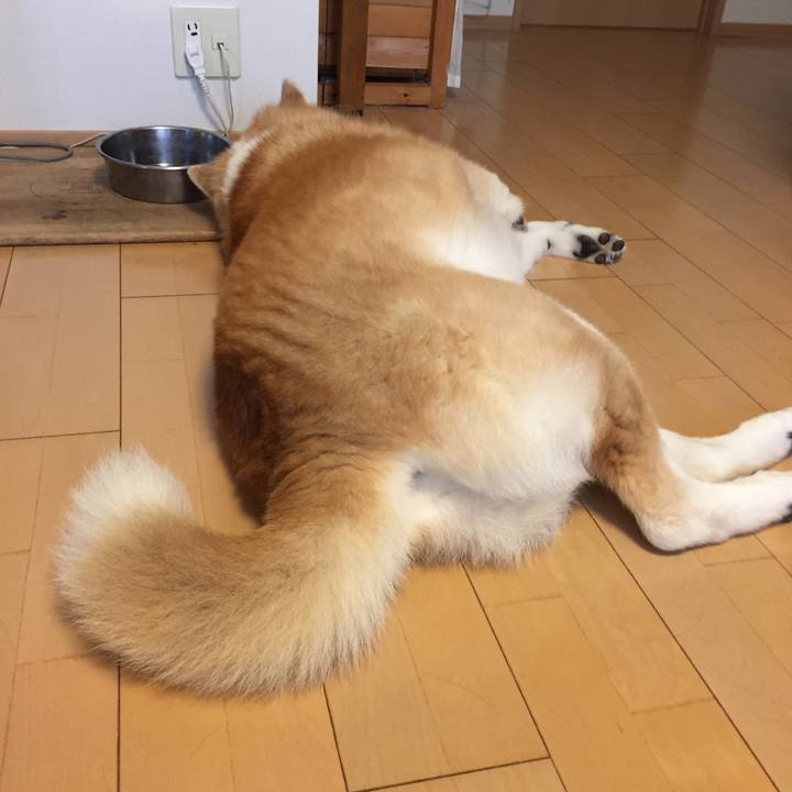 71e33b88 60a0 4bde b4af dd98f881d621