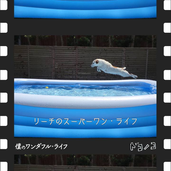 71e35692 5e6f 46e2 8ec0 1a8a7bc3a107