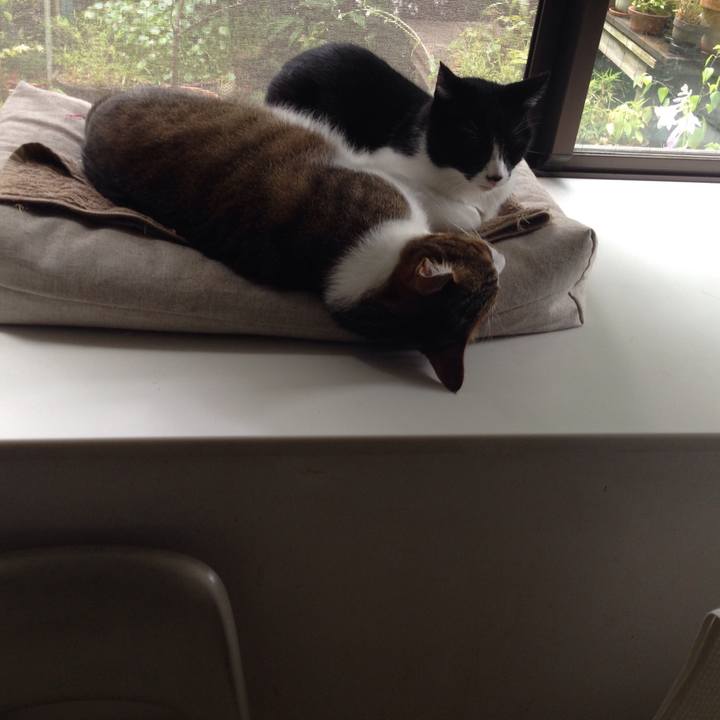 71e391b8 a036 4430 8b83 aab9a69c892f