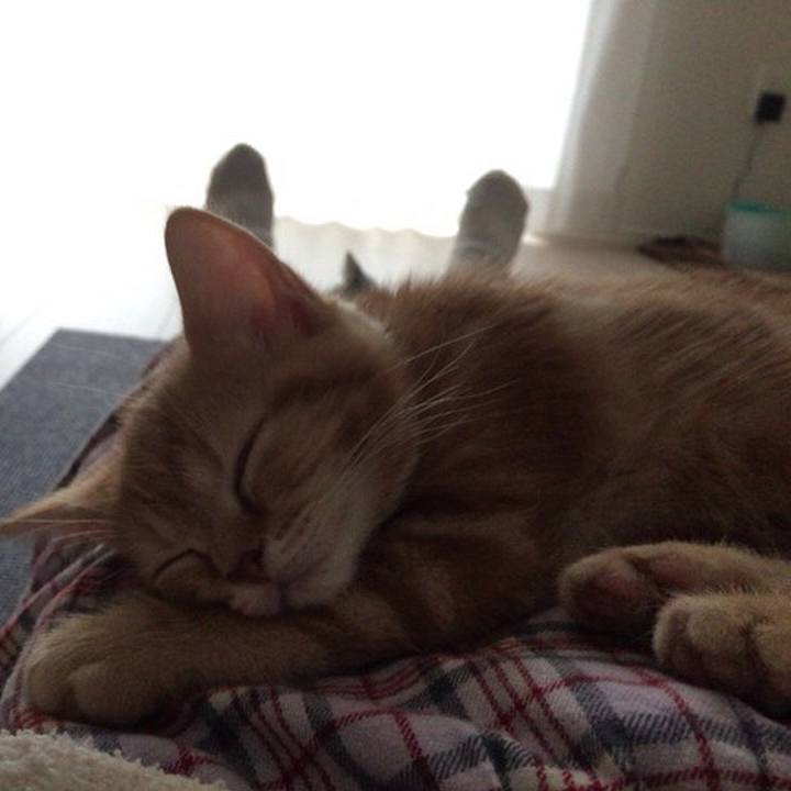 71e3c3d1 57ce 4046 89e4 39ead5673721