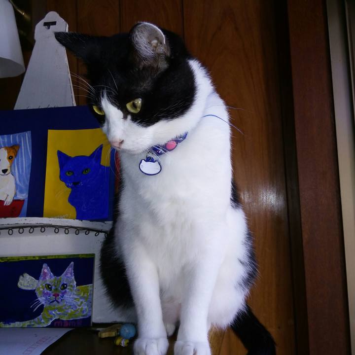 71e46e06 84ad 4c15 af60 49bcc663c187