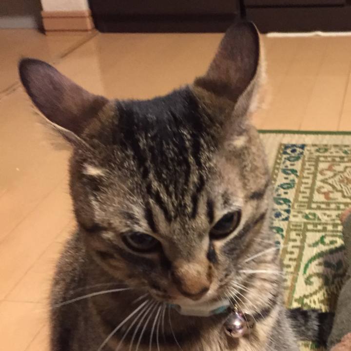 71e4fa90 b467 44fd 92dc f2d50d1e6b98