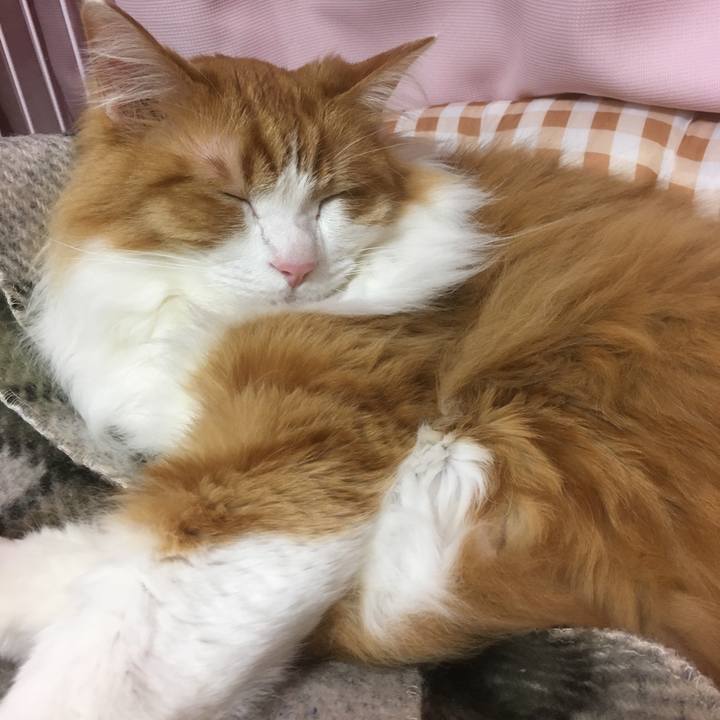 71e519ab 5bac 4104 95b4 ead7afda372d