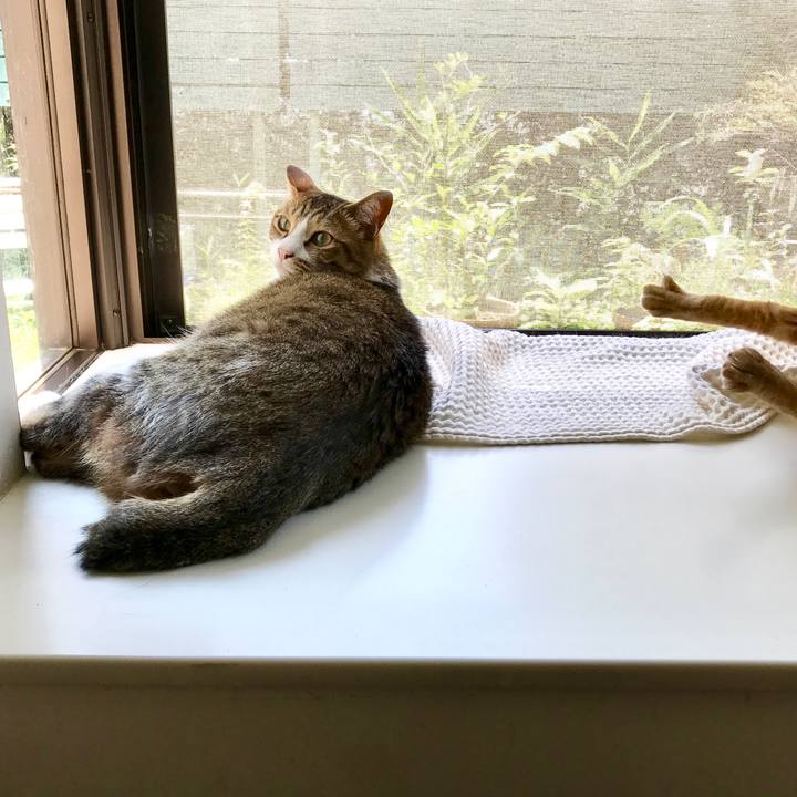 71e5ac3c 71b9 436a 8f29 638a11795b13