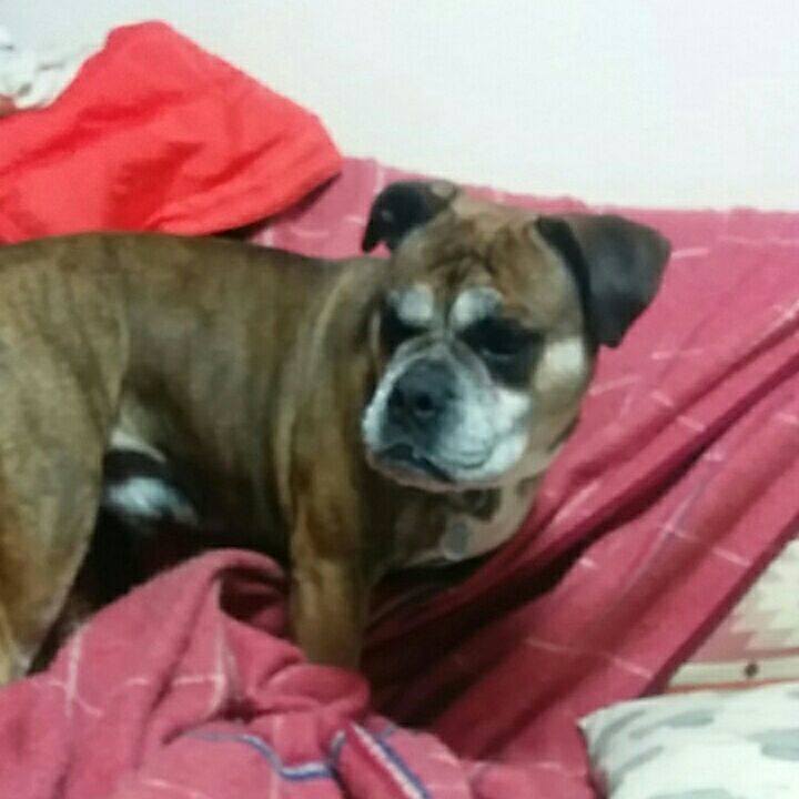 71e5b656 e58b 4734 9728 82775bc2ee09