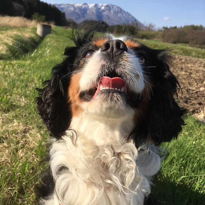 71e5e9b6 4782 4f14 9a99 c2a4ba4b4819