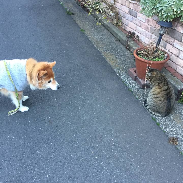 71e642f4 2139 4d0e be84 a928dfb13ae2