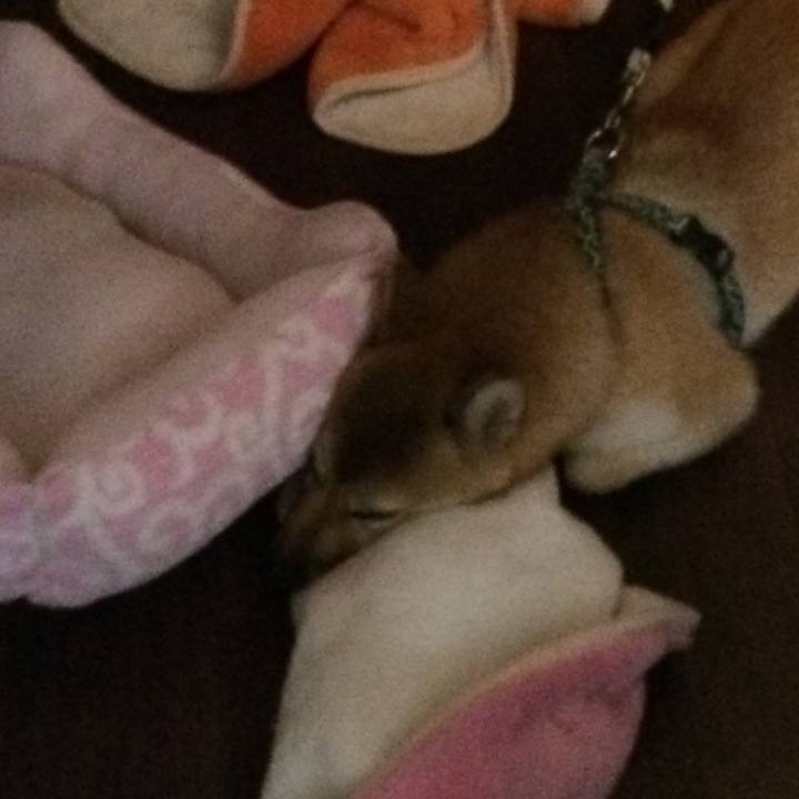 71e64a6a 583f 4948 9bd9 1e46ea548d16