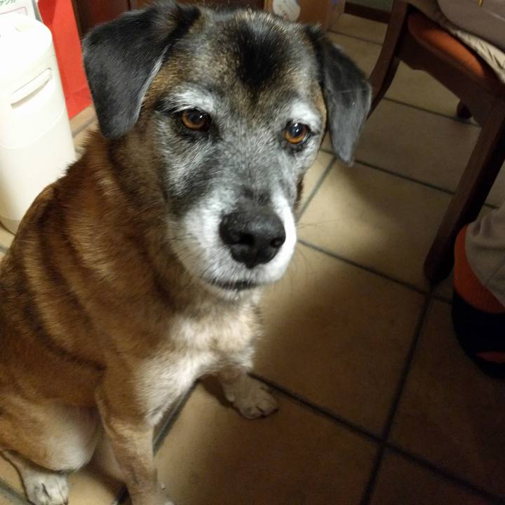 71e6573b 074e 4d90 8c58 634f563e0439