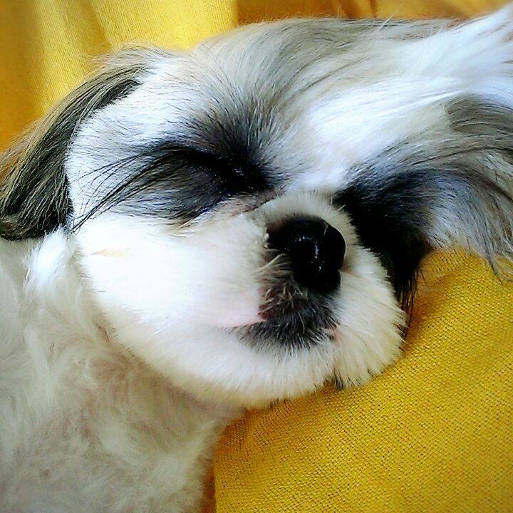 71e66480 a262 4e96 b323 773c180ea50d