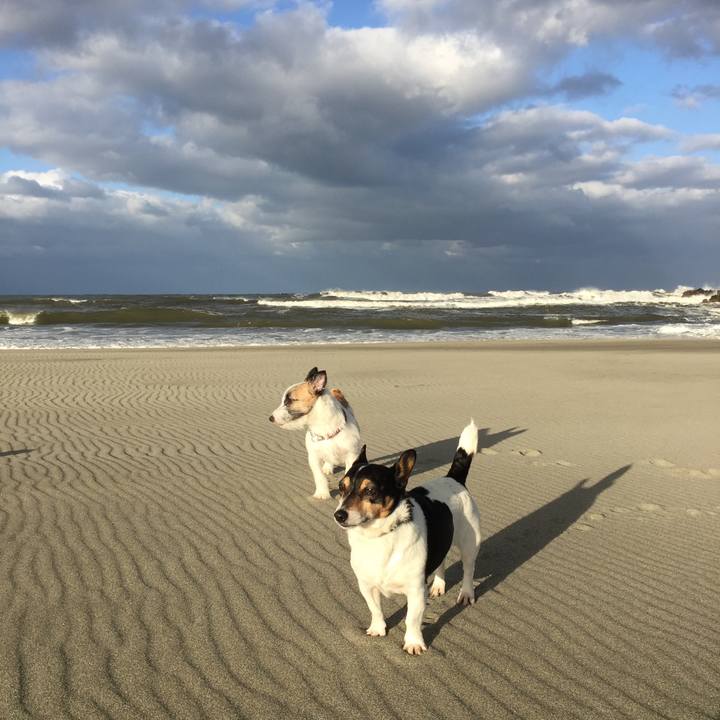 71e670db 5c15 4816 b536 efeff9fe0d8b