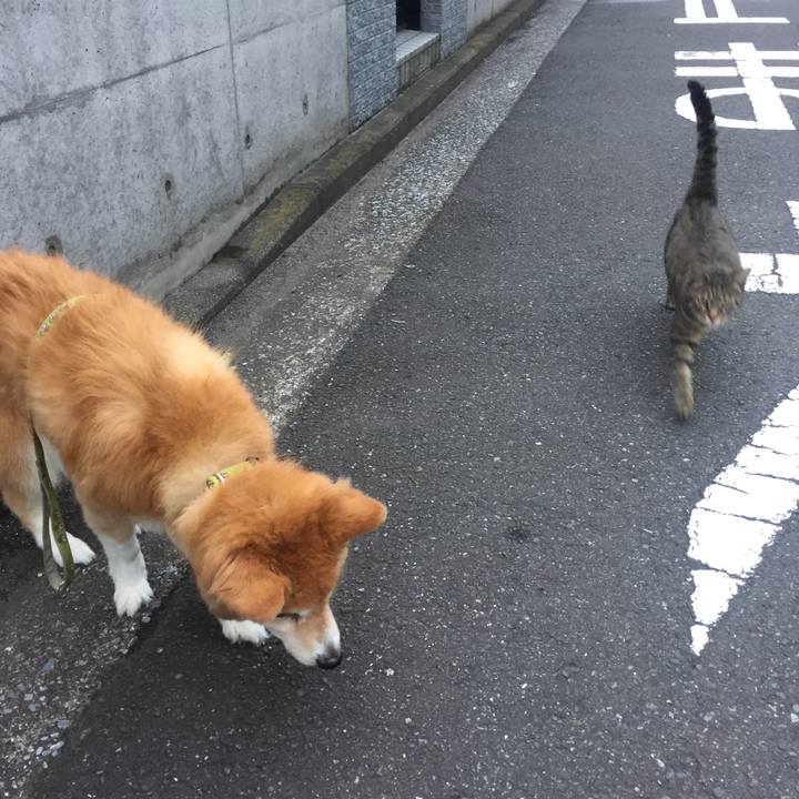 71e70005 d4bf 4c1c 9d56 d3471b74aa08