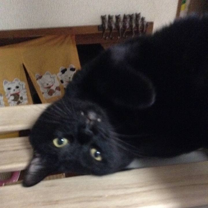 71e723f3 a256 4b2a a267 7abb0da7fdc2