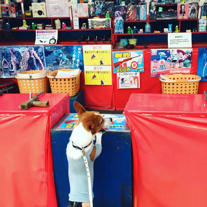 71e7487a 48e5 441e b23d 265af2a684eb