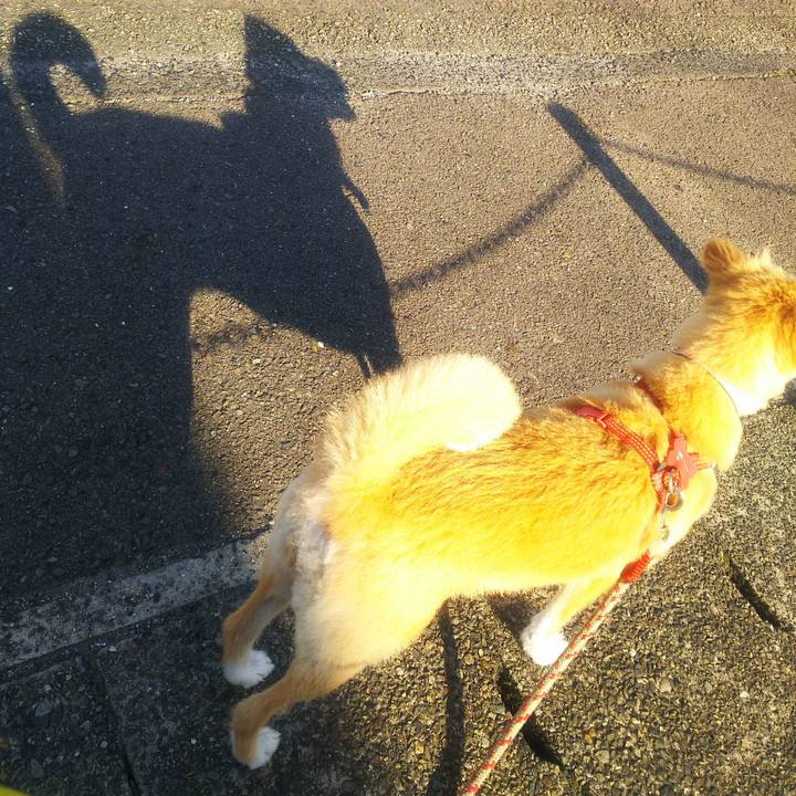 71e7847a a349 4271 8b18 966b21ab2d85