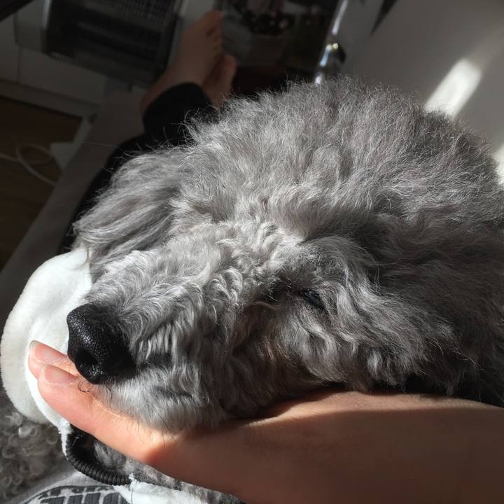 71e91029 1579 4249 b48f c0580ead512c