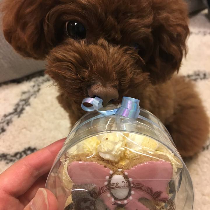 71e91428 f101 454e a520 148fb0b0e58b