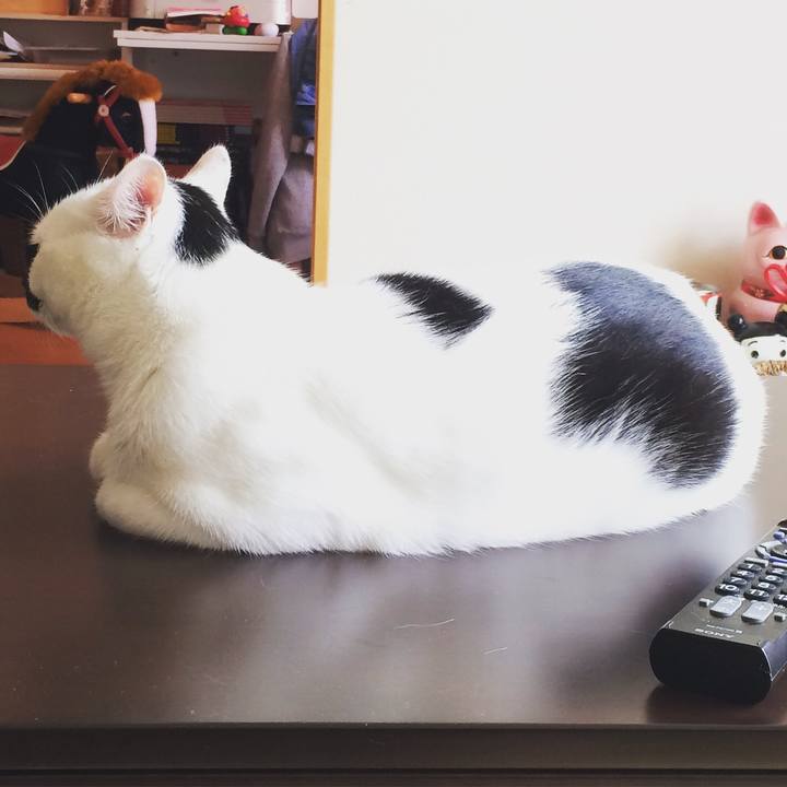 71e9f64e 04d3 4a29 b821 308b9cb8f4d2