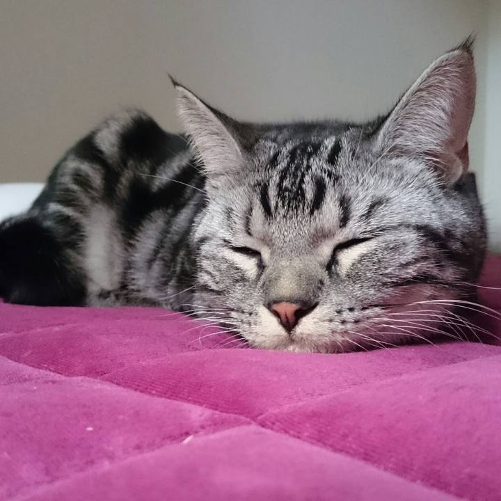 71ea0753 452c 47f6 ae31 b03257813d2f