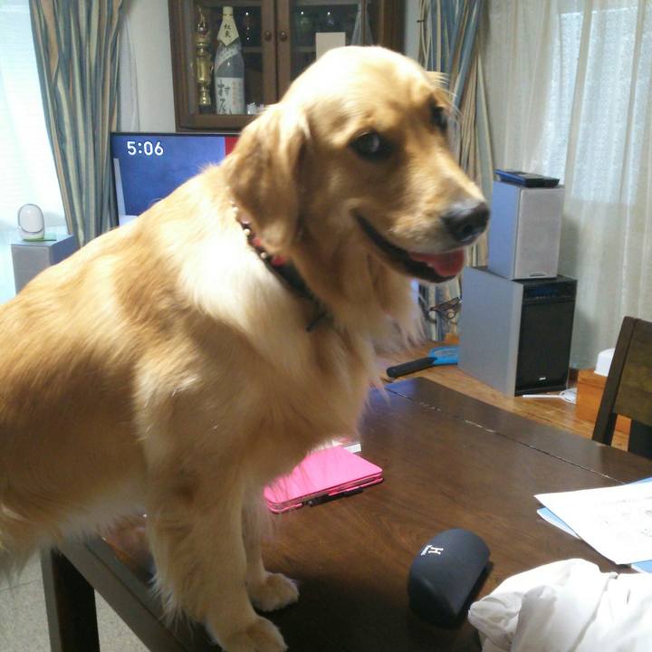 71ea4417 f63b 42f1 bbc3 2c2fadb5fa18