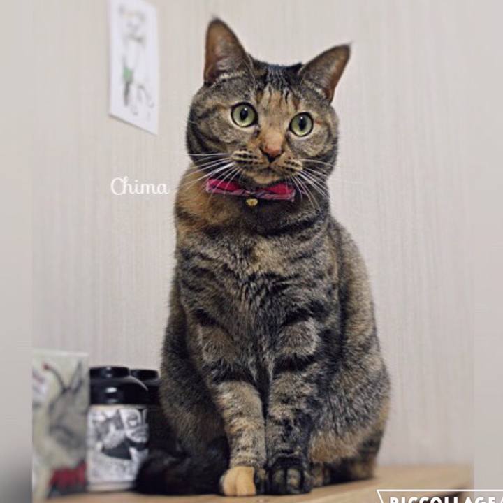 71ea5034 b88d 4b2f 8ce3 35a887b251f7