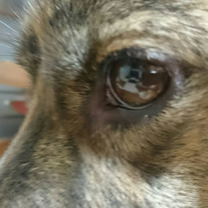 71ea7c0e d1e0 41a0 8f2a d591b548dbda