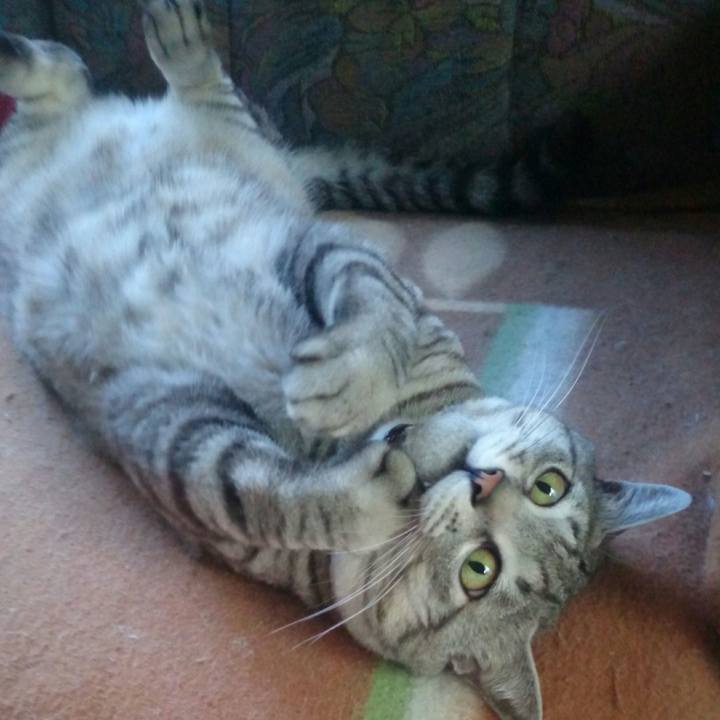 71ea86bc 02b2 4ba1 abc2 cfaee636498e