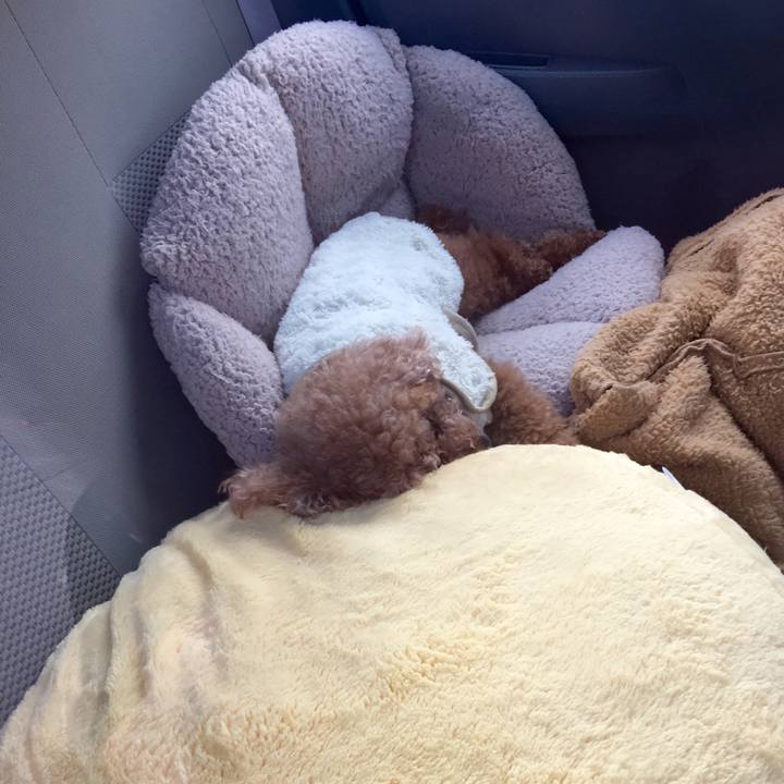 71eacd9d 88ba 4e03 b4a9 75e9a15cf901