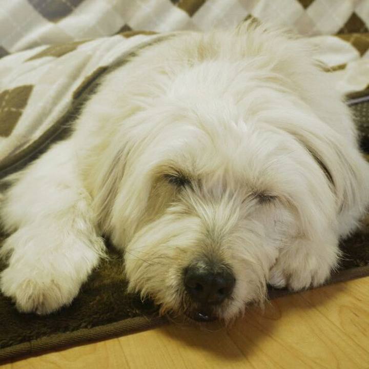 71eae8ae 2f4b 42ee be46 e4c3986d4202