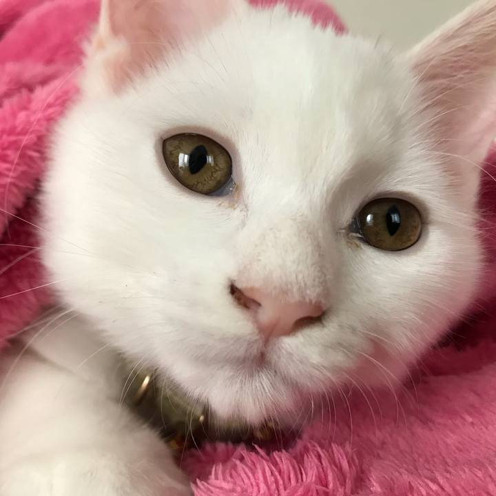 71eb71b4 6cfd 4db7 8cc4 9aaed2feaa7c