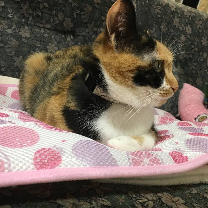 71ec52c8 1421 4089 86d3 4243d18c58e4