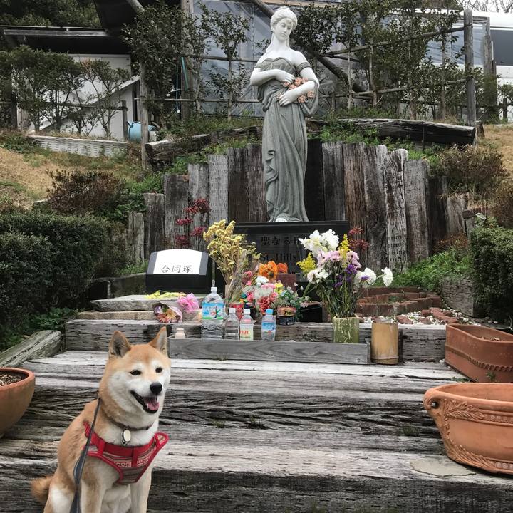 71ec5b08 77f2 4cc2 94bb d1a37eb5f089