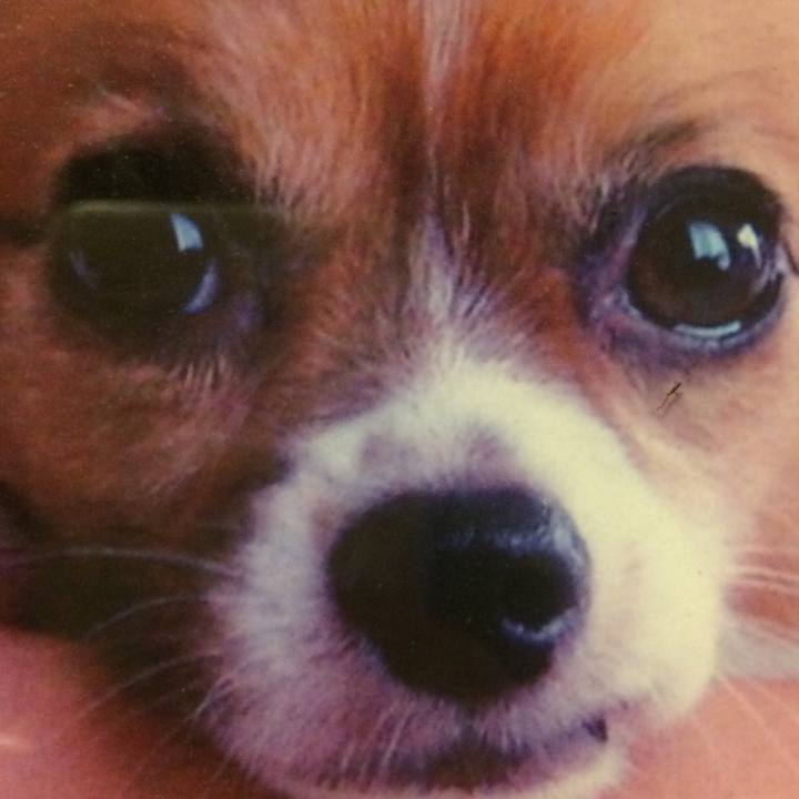 71ec70e6 a680 43e7 9ed6 cbf61701687c