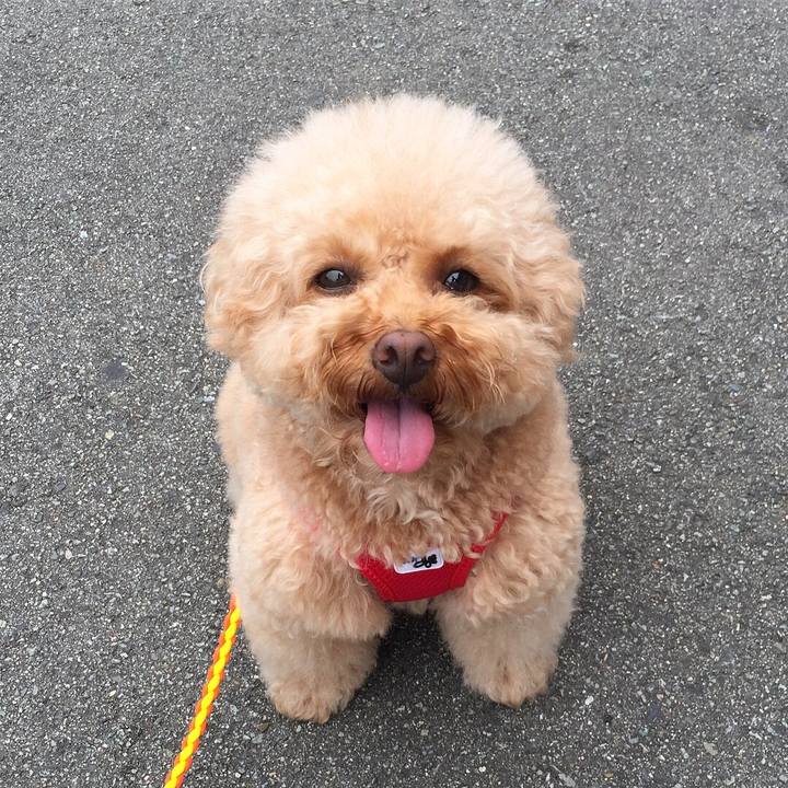 71ed5753 0816 4a78 a2b7 0376a1c0e58a