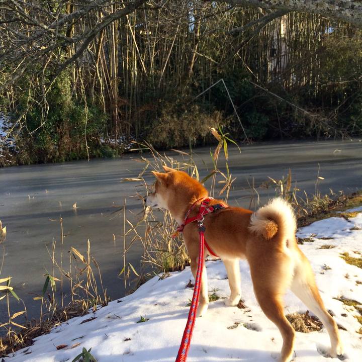 71ed6307 db74 46a2 b15f 83892038150f