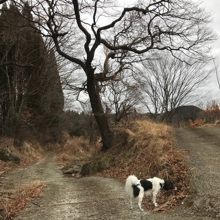 71ed7e0a 8b73 49ae ae89 73f1c1324b84