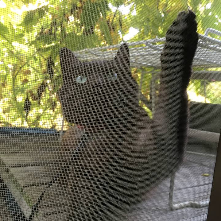 71ee22f3 290d 4ae7 aa2e 50878cd6a256