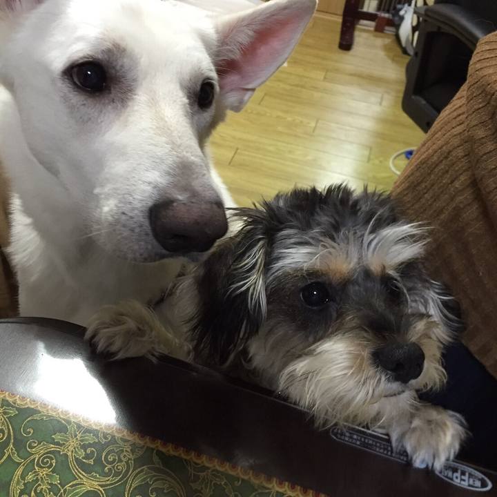 71ee341a ae8a 4edf a25c f8db2af9d5af