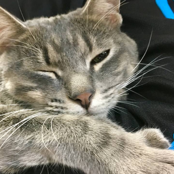 71ee84a1 b846 4c98 ab5a 7a56bbff18e5